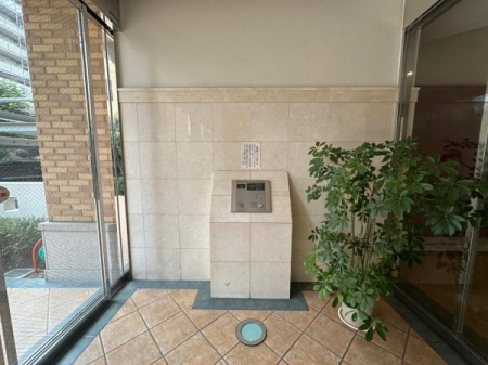 ���{��^�s�h���̒��Ã}���V�����̃G���g�����X