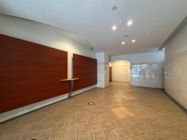 ���{��^�s�h���̒��Ã}���V�����̃G���g�����X