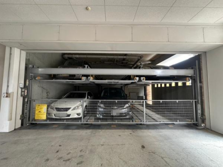 ���{��^�s�h���̒��Ã}���V�����̉摜