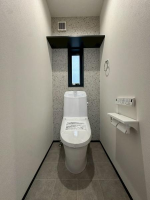 ���{��^�s�e�c���̐V�z��ˌ��Ẵg�C��