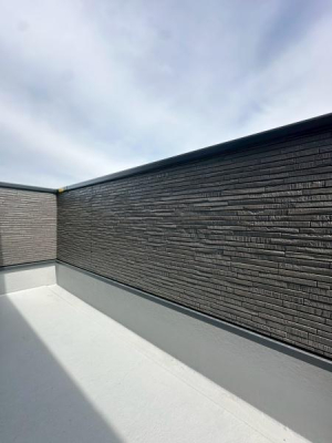 ���{��^�s�e�c���̐V�z��ˌ��Ẵo���R�j�[