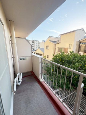 ���{����s���c��5���ڂ̒��Ã}���V�����̃o���R�j�[