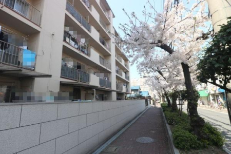 ���{����s���c��5���ڂ̒��Ã}���V�����̂��̑����n