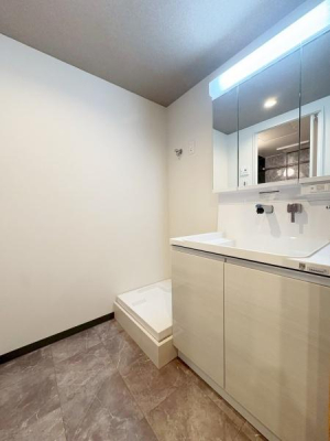 ���{����s���c��5���ڂ̒��Ã}���V�����̐��ʑ�E���ʏ�