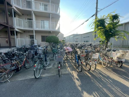 ���{�����s��c�V��3���ڂ̒��Ã}���V�����̂��̑����p��