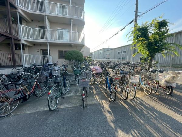 ���{�����s��c�V��3���ڂ̒��Ã}���V�����̂��̑����p��