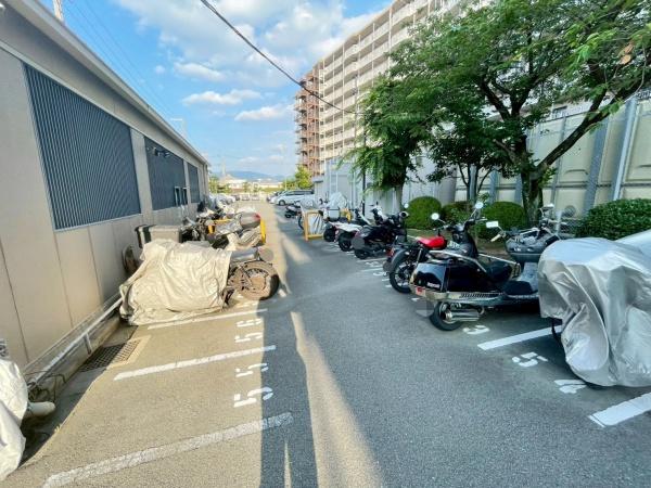 ���{�����s��c�V��3���ڂ̒��Ã}���V�����̂��̑����p��