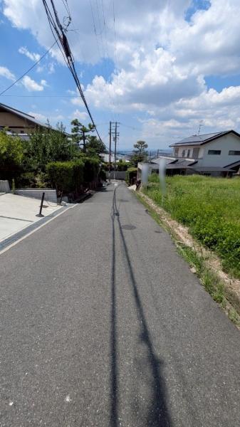{sR蒬̓yn̑OʓH܂ތnʐ^