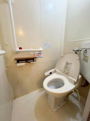 ���{���s���捂�a6���ڂ̒��Ã}���V�����̃g�C��