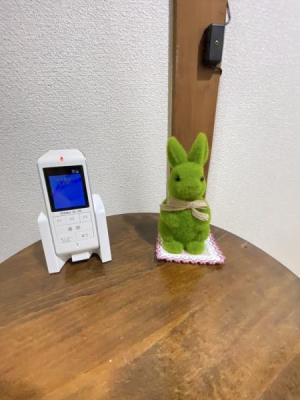 {s吳쉶3ڂ̒ÃeXnEX̂̑