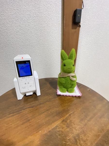 {s吳쉶3ڂ̒ÃeXnEX̂̑