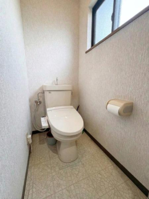 ���{�����s����1���ڂ̒��È�ˌ��Ẵg�C��