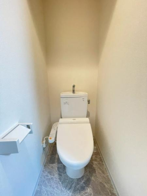 ���{���s����敽��k2���ڂ̒��È�ˌ��Ẵg�C��