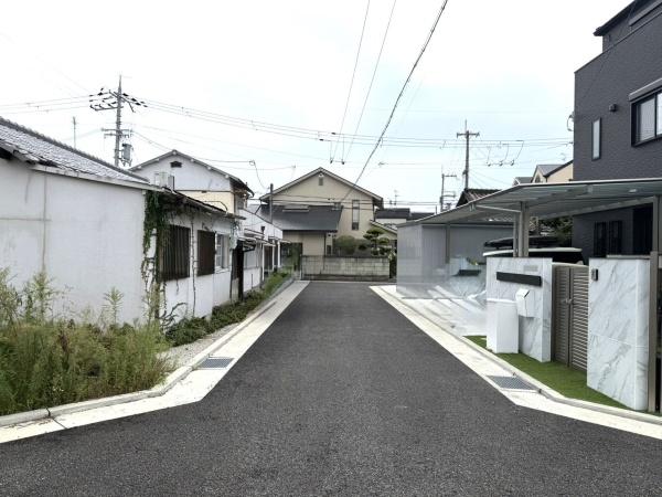 {sA5ڂ̓yn̑OʓH܂ތnʐ^