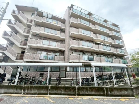 {Ls΋u2ڂ̒Ã}V̌nOώʐ^