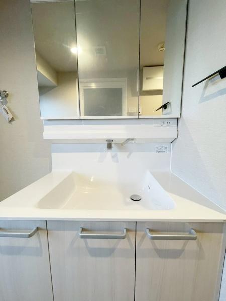 {Ls΋u2ڂ̒Ã}V̐ʑEʏ