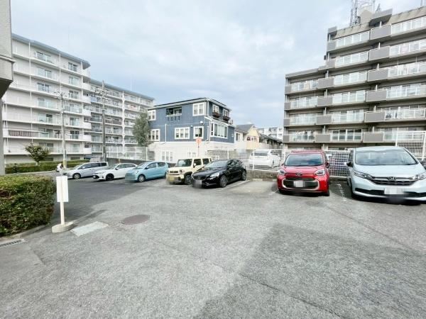 {Ls΋u1ڂ̒Ã}V̂̑p