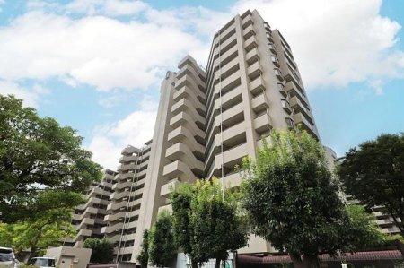 {QsO쒬̒Ã}V̌nOώʐ^