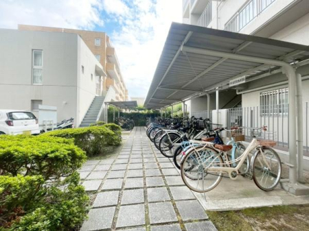 {Ls΋u1ڂ̒Ã}V̂̑p