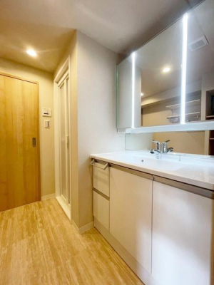 {Ls΋u1ڂ̒Ã}V̐ʑEʏ