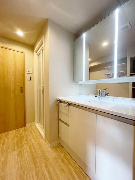 {Ls΋u1ڂ̒Ã}V̐ʑEʏ