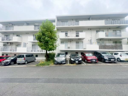 {Lsk΋u3ڂ̒Ã}V̂̑p