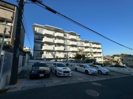 {cs痢R6ڂ̒Ã}V̂̑p