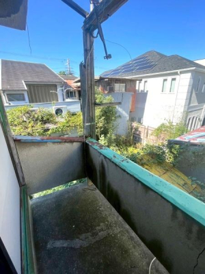 {s掵ʂ̒ÃeXnEX̃oRj[