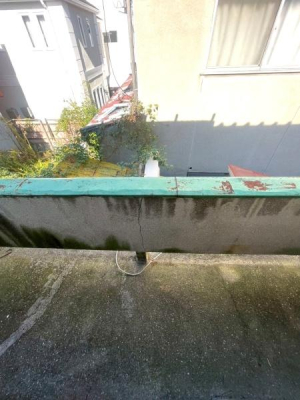 {s掵ʂ̒ÃeXnEX̃oRj[