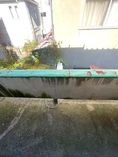 {s掵ʂ̒ÃeXnEX̃oRj[