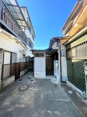 {s掵ʂ̒ÃeXnEX̑OʓH܂ތnʐ^