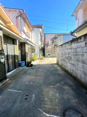 {s掵ʂ̒ÃeXnEX̑OʓH܂ތnʐ^