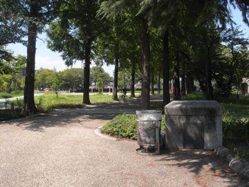 {s掵ʂ̒ÃeXnEX̎ӊ