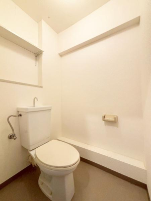 {csLÒ 15-13̒Ã}ṼgC