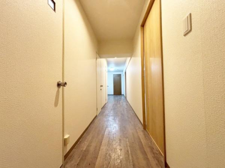 {csLÒ 15-13̒Ã}V̌