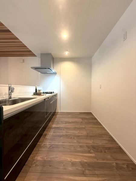 大阪府大阪市平野区背戸口1丁目の新築一戸建てのキッチン