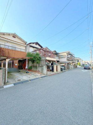 {s̓yn̑OʓH܂ތnʐ^