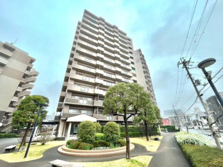 {sgc{3ڂ̒Ã}V̌nOώʐ^