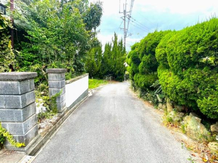 {s8ڂ̓yn̑OʓH܂ތnʐ^