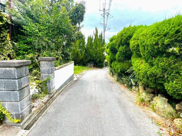 {s8ڂ̓yn̑OʓH܂ތnʐ^