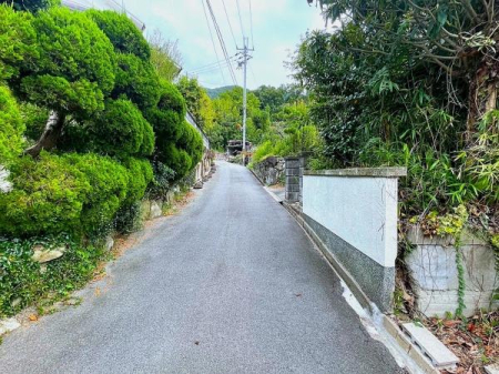 {s8ڂ̓yn̑OʓH܂ތnʐ^