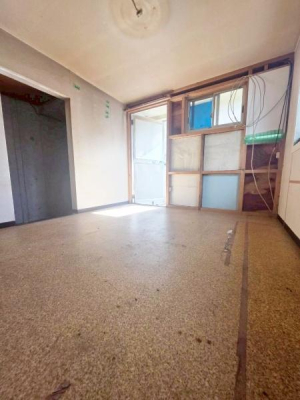 ���{��^�s��Ւ��̒��È�ˌ��Ă̗m��