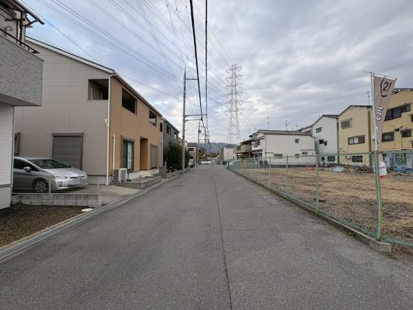 {Qs͖k̓yn̑OʓH܂ތnʐ^