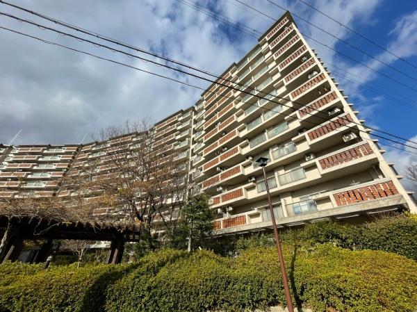 {Lst5ڂ̒Ã}V̌nOώʐ^