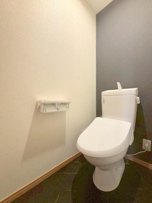 ���{�����s��t1���ڂ̒��È�ˌ��Ẵg�C��