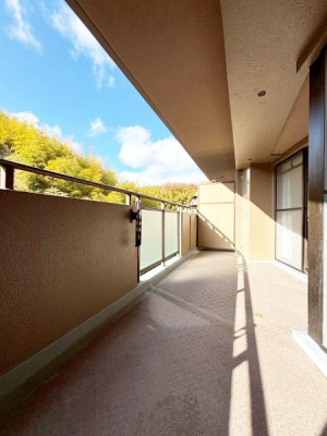 ���{���c�s�t��2���� 6-1�̒��Ã}���V�����̃o���R�j�[