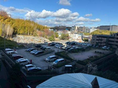 ���{���c�s�t��2���� 6-1�̒��Ã}���V�����̉摜