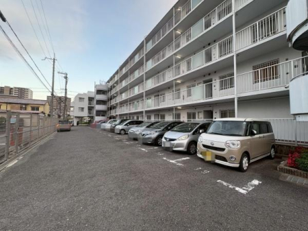 ���{�Q����s���r���̒��Ã}���V�����̉摜