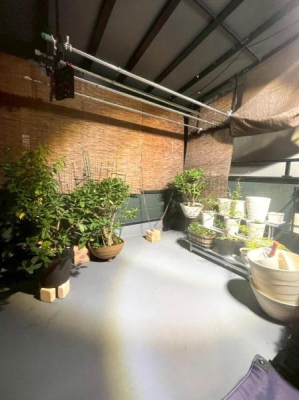 ���{�����s�����ؓ�3���ڂ̒��È�ˌ��Ẵo���R�j�[