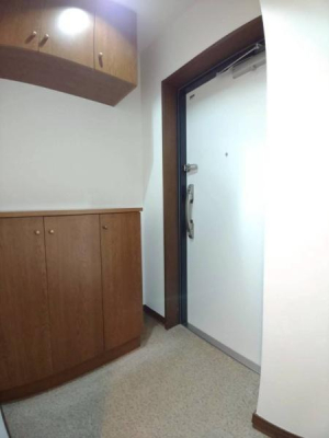 ���{�����s���ΐؒ�2���ڂ̒��Ã}���V�����̌���